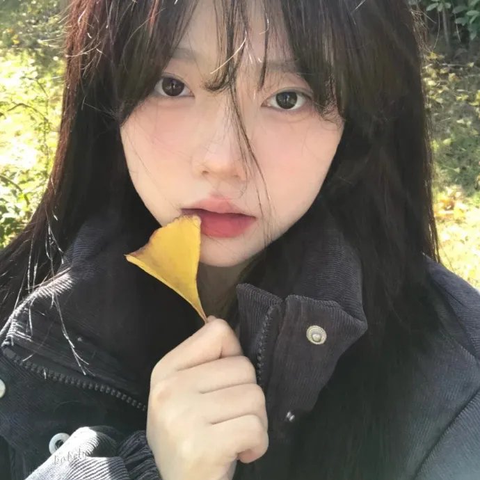 月上朝颜