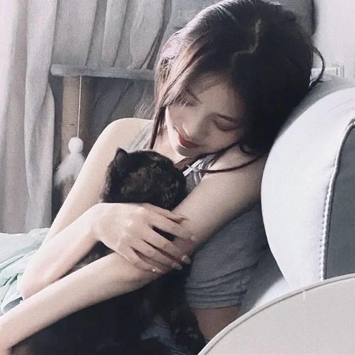 如果历史是一群喵元末明初篇